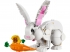 LEGO Creator 31133: White Rabbit