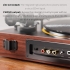 FiiO TT11 (F6001T) Black