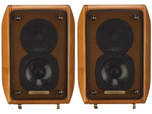 Изображение Diapason Micra III