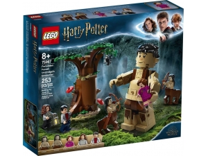 LEGO Harry Potter 75967: Forbidden Forest Umbridges Encounter